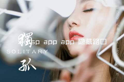 xkdsp app app 隐藏路口
